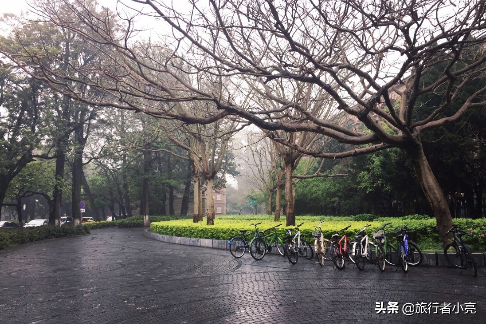 福建厦门十大旅游景点,福建厦门旅游十大必去景区