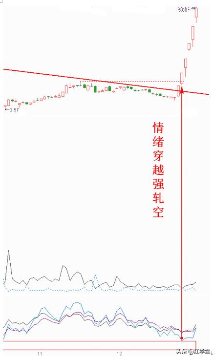 周线反弹在哪里挖牛股?