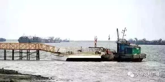 天津人借钱买奢侈品,天津人借钱吃海鲜是什么意思