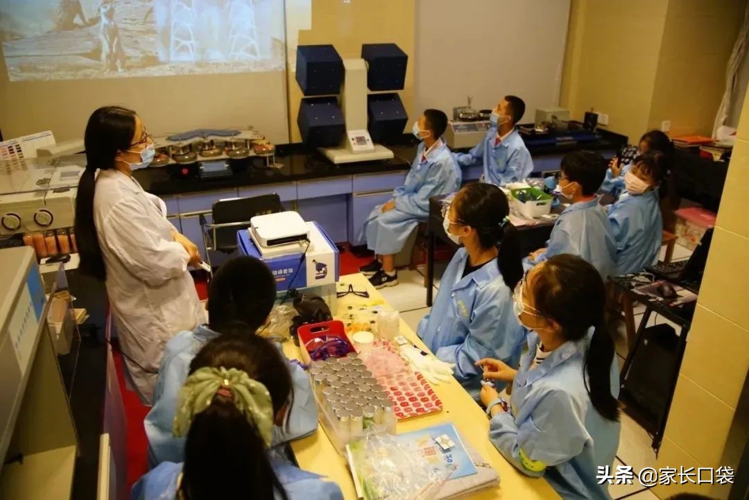 上海各大博物馆攻略,上海各大博物馆介绍