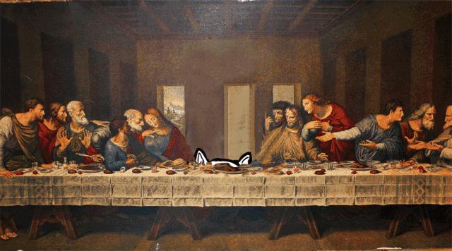 塑料社交时代，装X的人最真诚