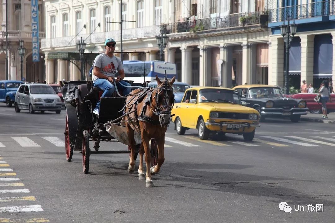 岸边雪茄，这就是古巴！