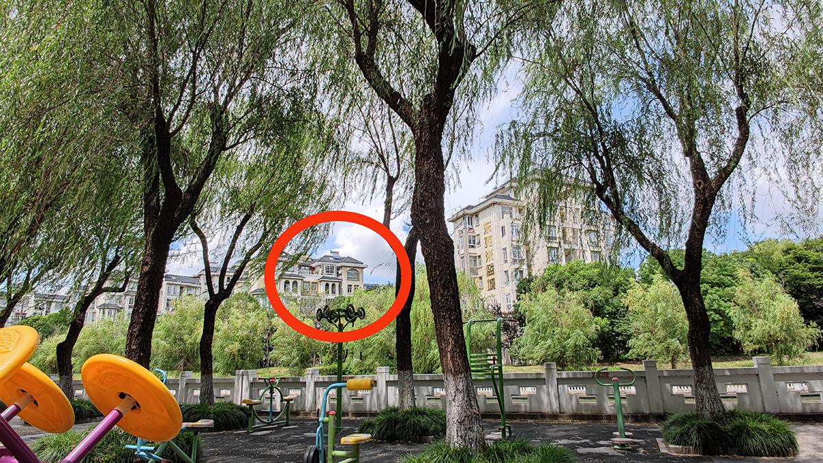 给孩子一双慧眼,星特朗dx10x50双筒望远镜怎么样