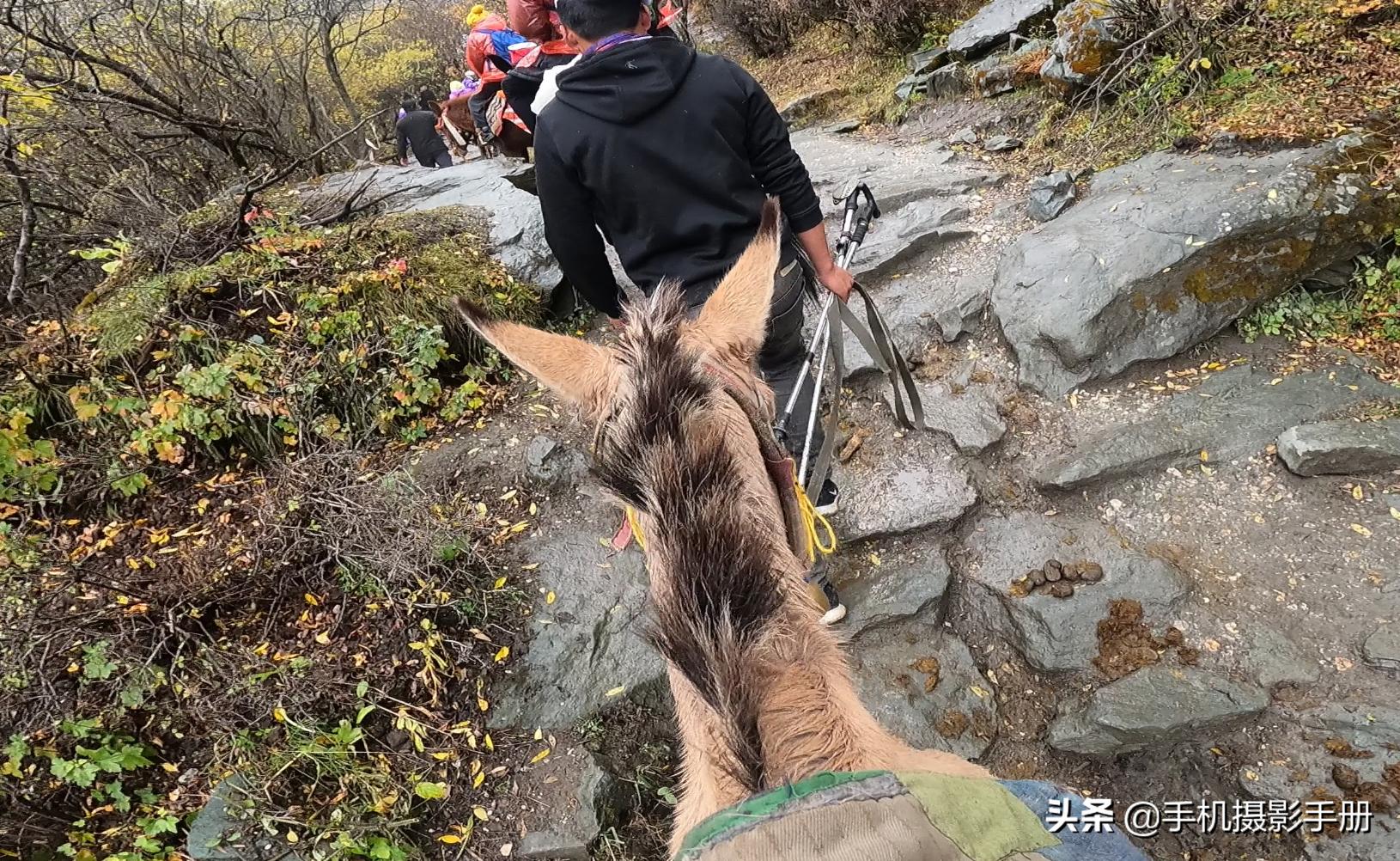 稻城亚丁星球最后一块净土,稻城亚丁的蓝色星球