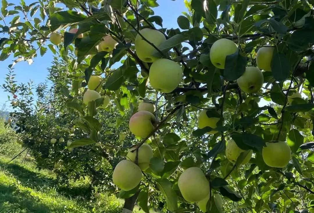 昌平自驾游京郊最佳好去处,北京昌平区冬季旅游