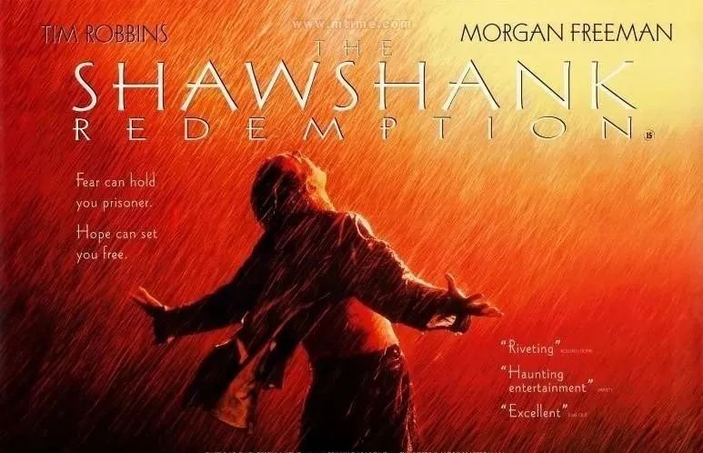 最好的一部电影被所有人低估了,最难超越的五部电影