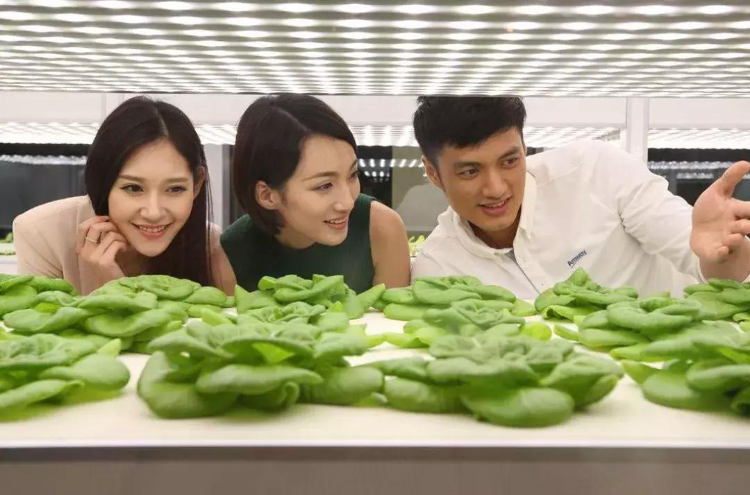 安利的深度解析,安利的商业逻辑