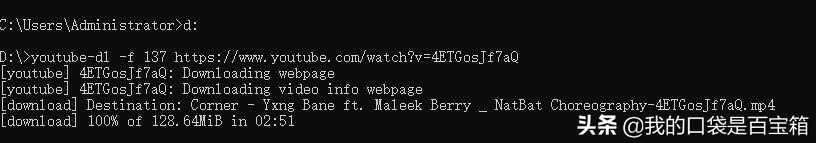 视频下载工具netdownload,视频下载辅助工具