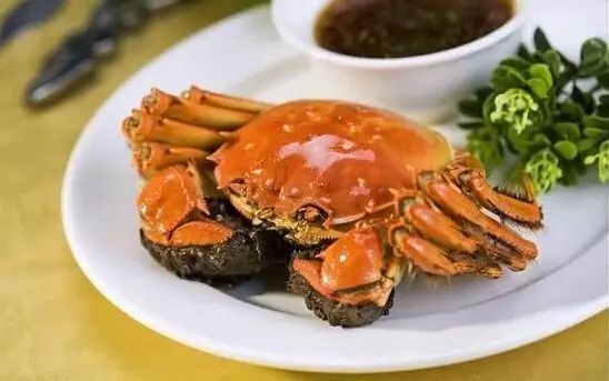 中国最美乡村Top10，有你家乡吗？