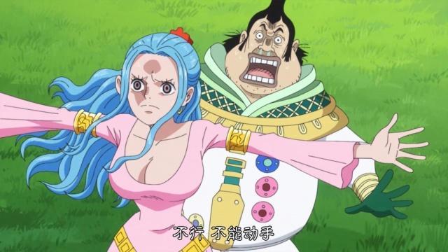 海贼王为什么有人不吃果实,海贼王天龙人不吃果实