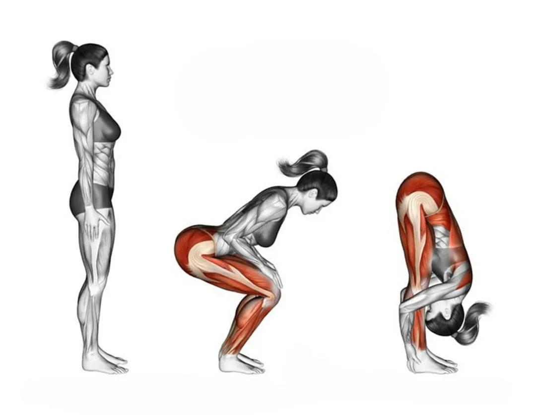 放松肌肉的动作图,各个肌肉的放松方法