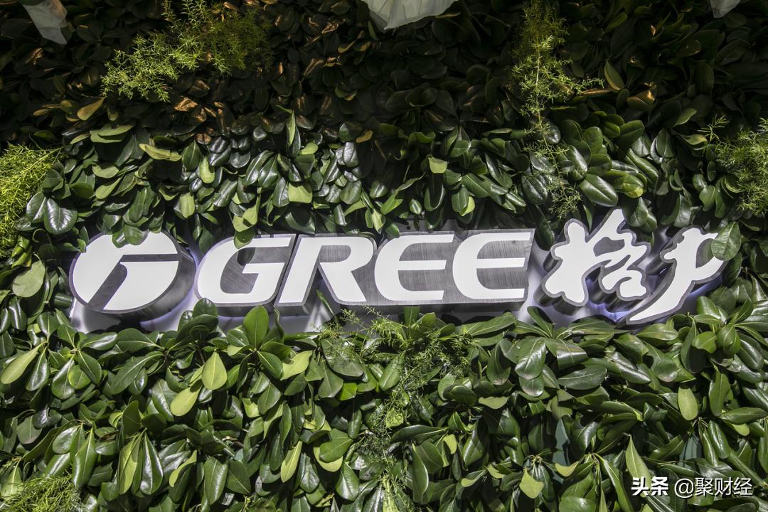 董明珠银隆汽车上市,厉害了董明珠造银隆车