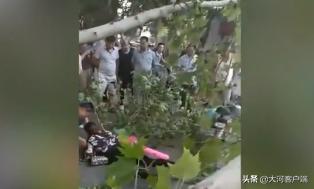 河南三名干部“落马”；读书真能当饭吃！河南这个高校餐厅背古诗送餐券