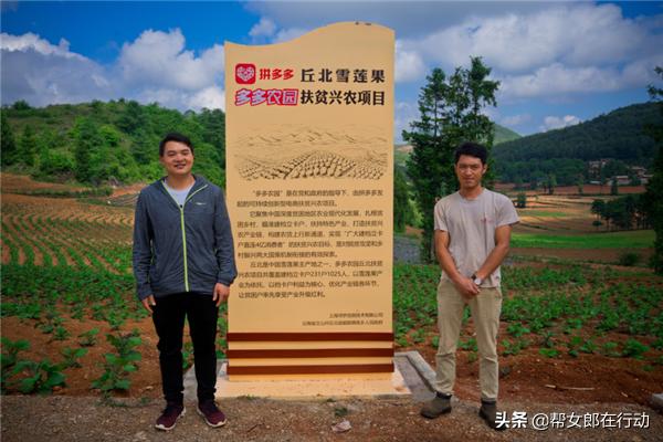 他山之石丨“拼”出新产业，小果子带来脱贫大希望，背后的故事都有啥