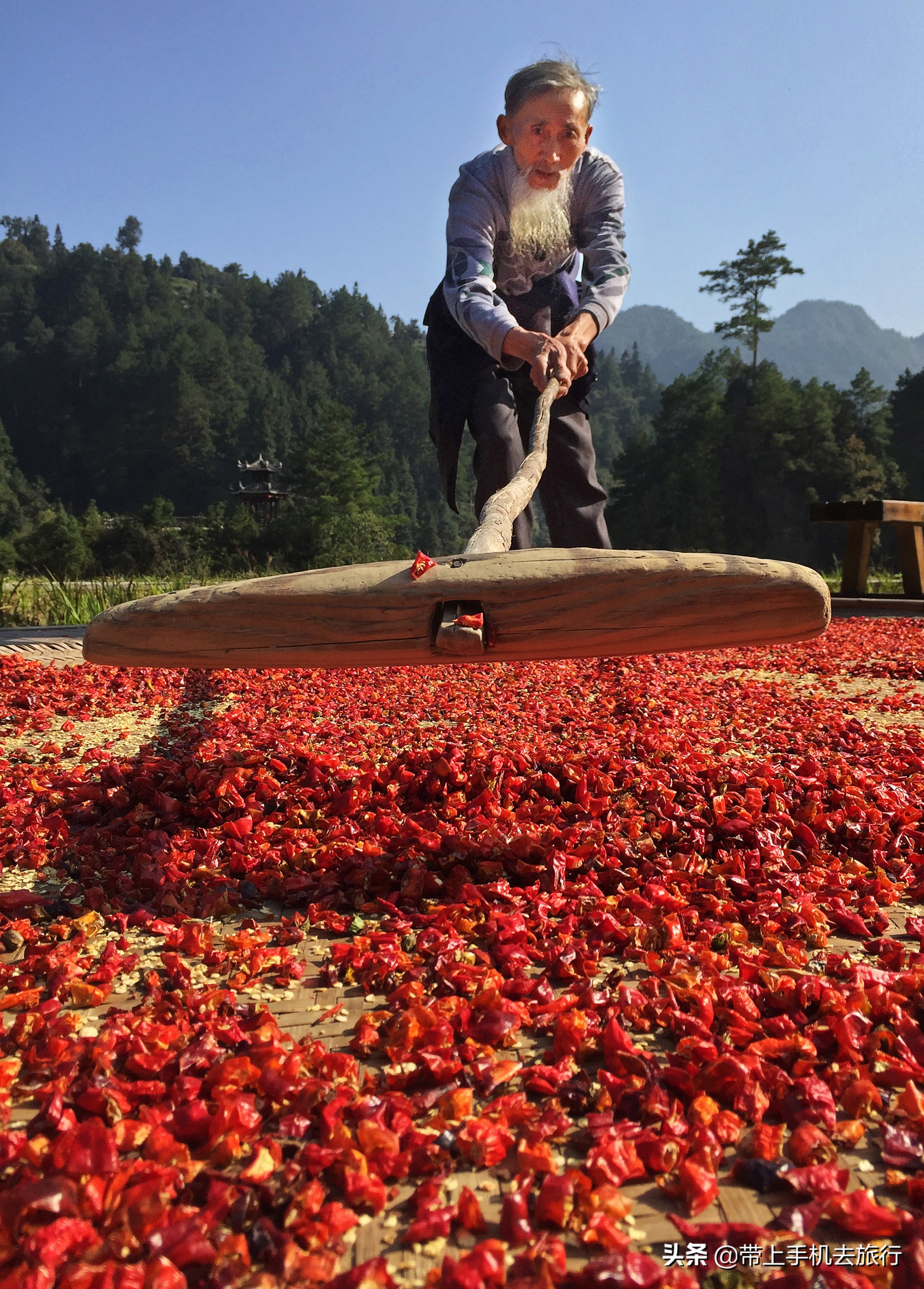 手机如何连拍定格,手机如何连拍模式