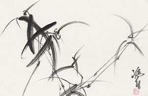 冷军和齐白石画螃蟹,冷军与齐白石画蜻蜓