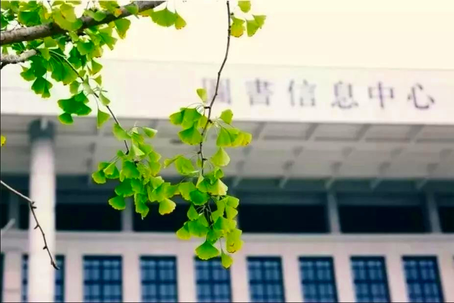 以省份命名的大学都学什么专业,以省份命名的大学有哪些是985