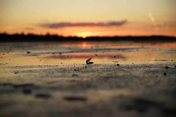 深圳海边官湖村游玩地点推荐,官湖深圳