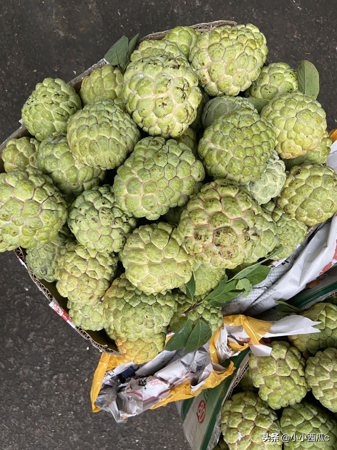 海口水果批发市场各种水果价格,离这里最近的海南水果批发市场