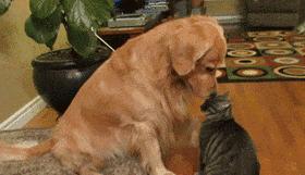 魏巍十大临床案例,魏巍临床经典案例