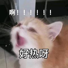 好物推荐贫民窟女孩平价护肤分享,平价好物分享贫民窟女孩必入护肤