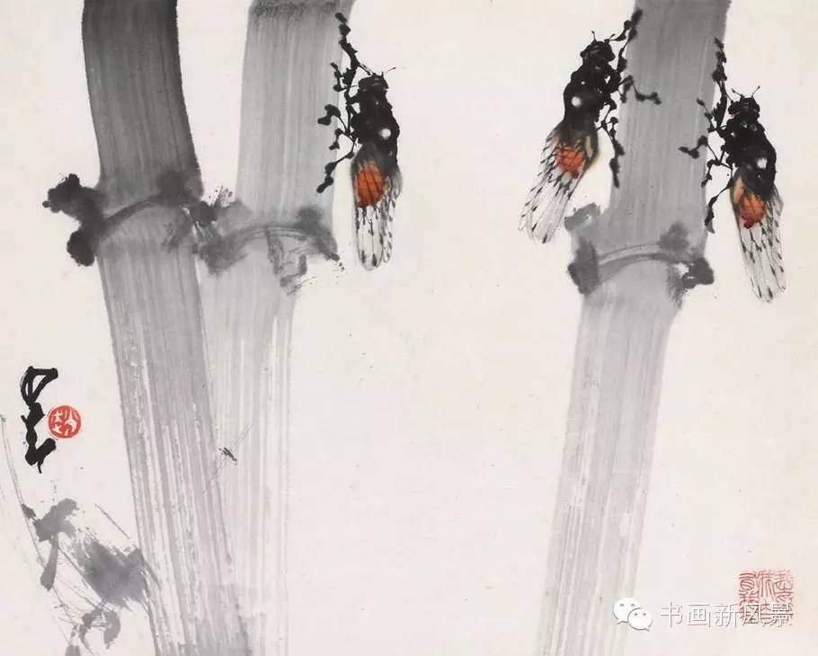 赵少昂花鸟鱼虫完整版,岭南著名画家赵少昂绘画视频