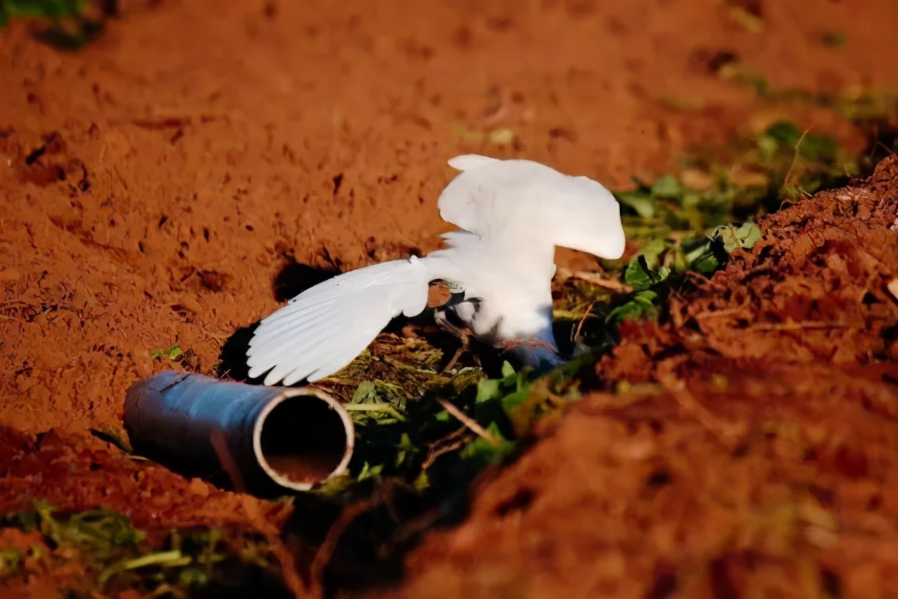 新手摄影怎么拍出质感,新手如何拍出好的作品