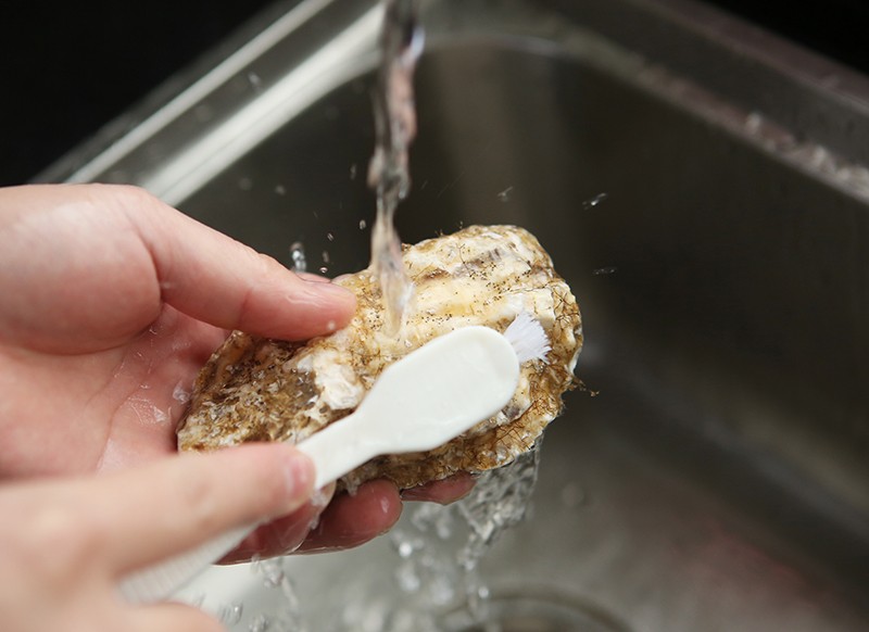 海鸡蛋的营养价值及功效,蓝皮鸡蛋的营养价值