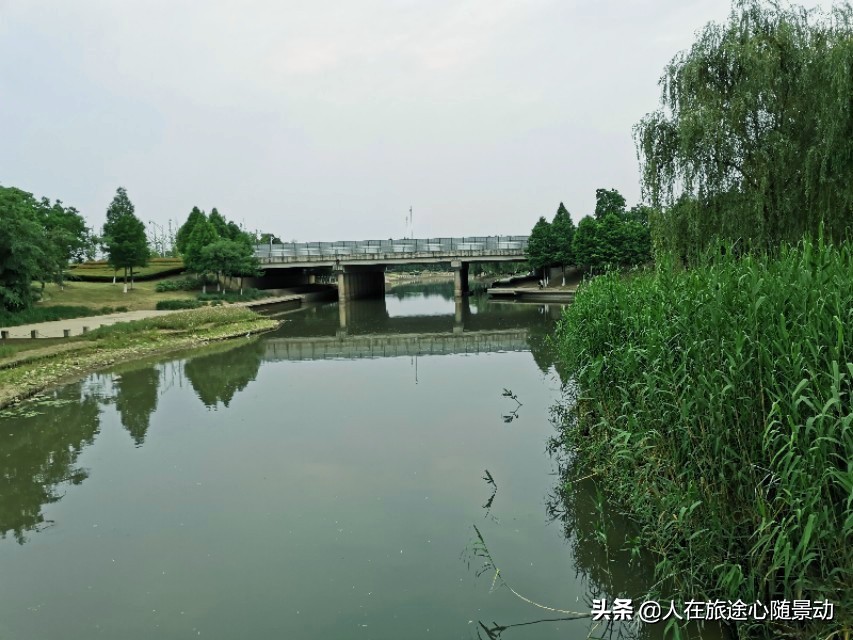 南京面积最大的公园，美不胜收却被游客忽略