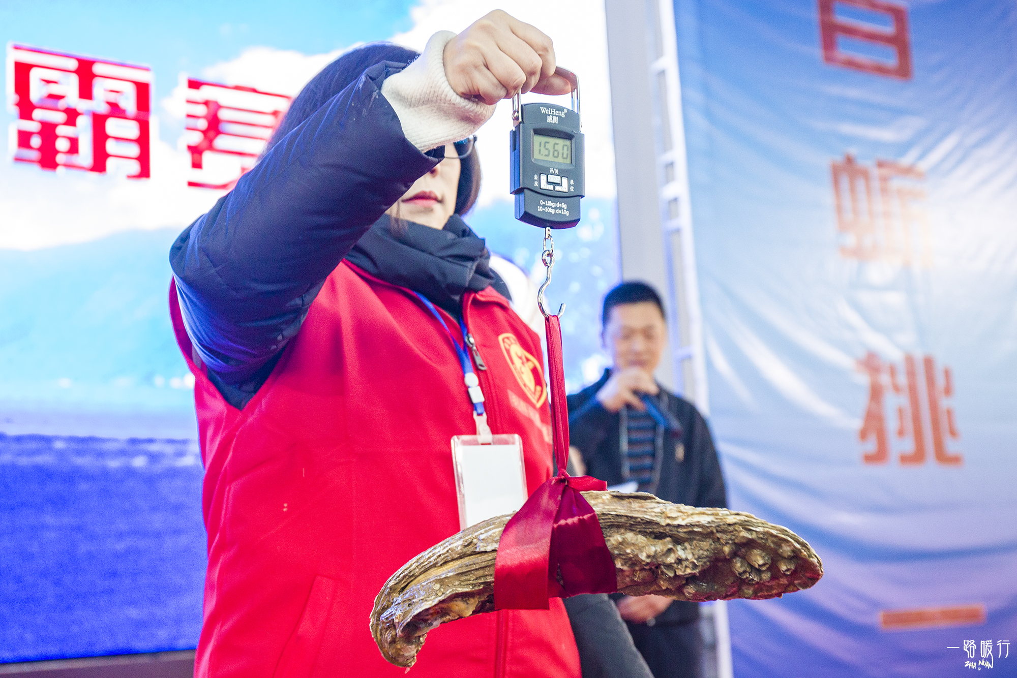 牡蛎生命意义,野生牡蛎的价值