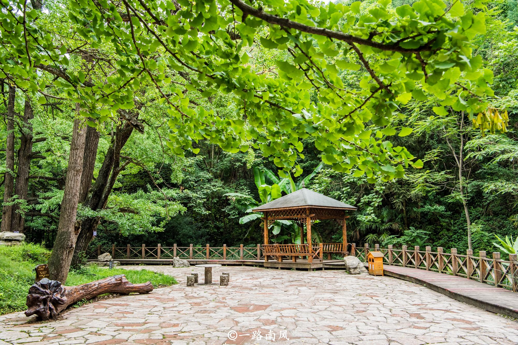 贵州藏着一处秘境,贵州凉都19度的夏天