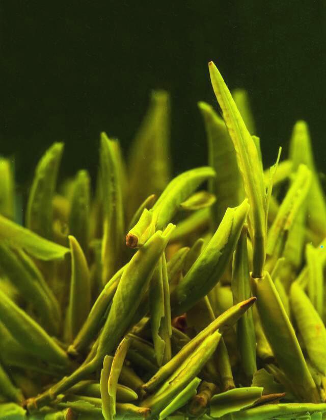 中国十大名茶排行榜前十名,中国十大红茶名茶最新排名