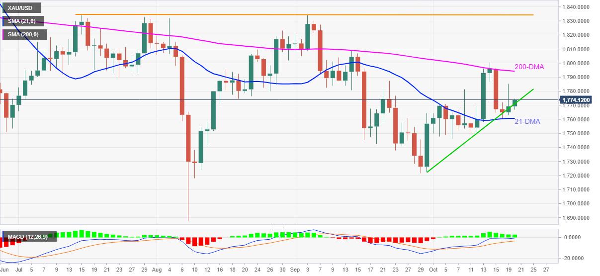 黄金价格大跌今日金价,黄金价格波动引关注