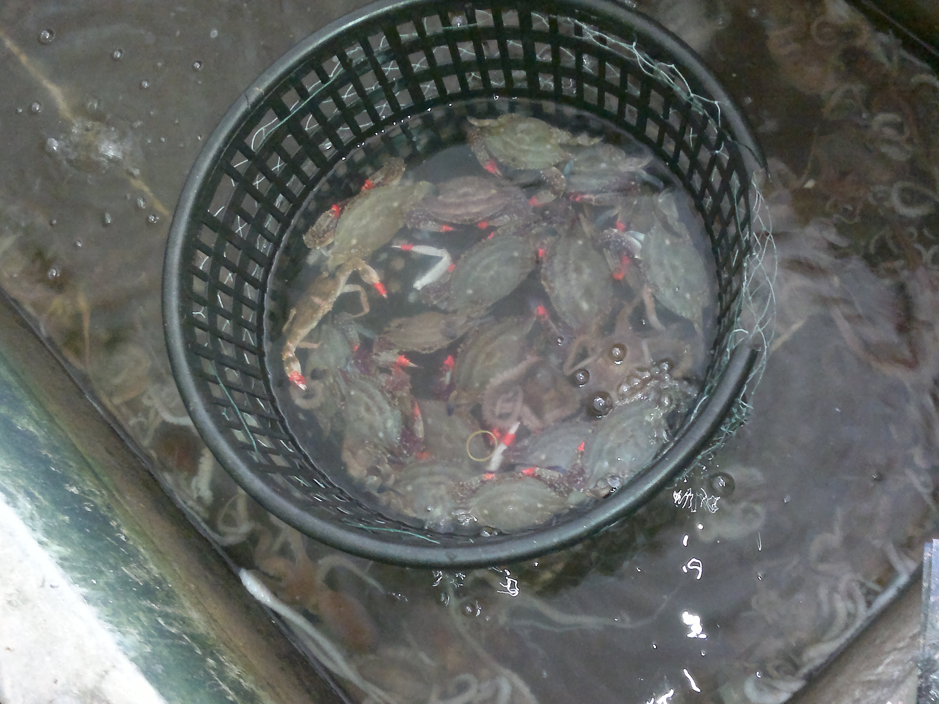 锦州兴城旅游攻略,辽宁兴城自驾旅游攻略一日游