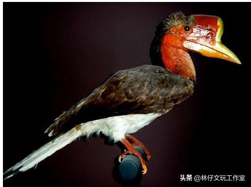 这三种文玩千万别碰,这几种文玩已经跌落神坛