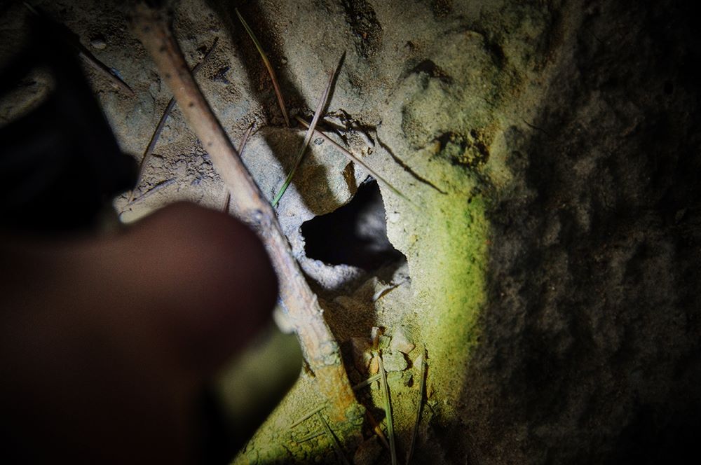 务本手电评测,务本d1手电筒测评