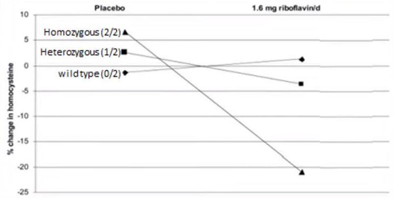 吃肉会引发心血管疾病吗,心脏不好同型半胱氨酸高说明什么