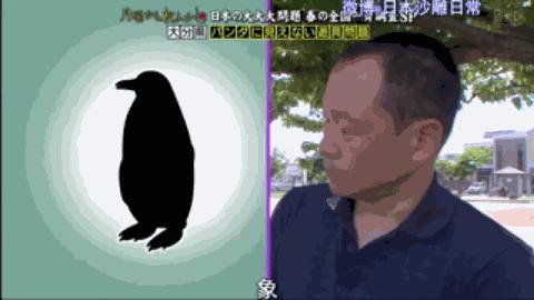 日本的顶级流量担当者大熊猫！日本人的熊猫情结疯狂到你想不到