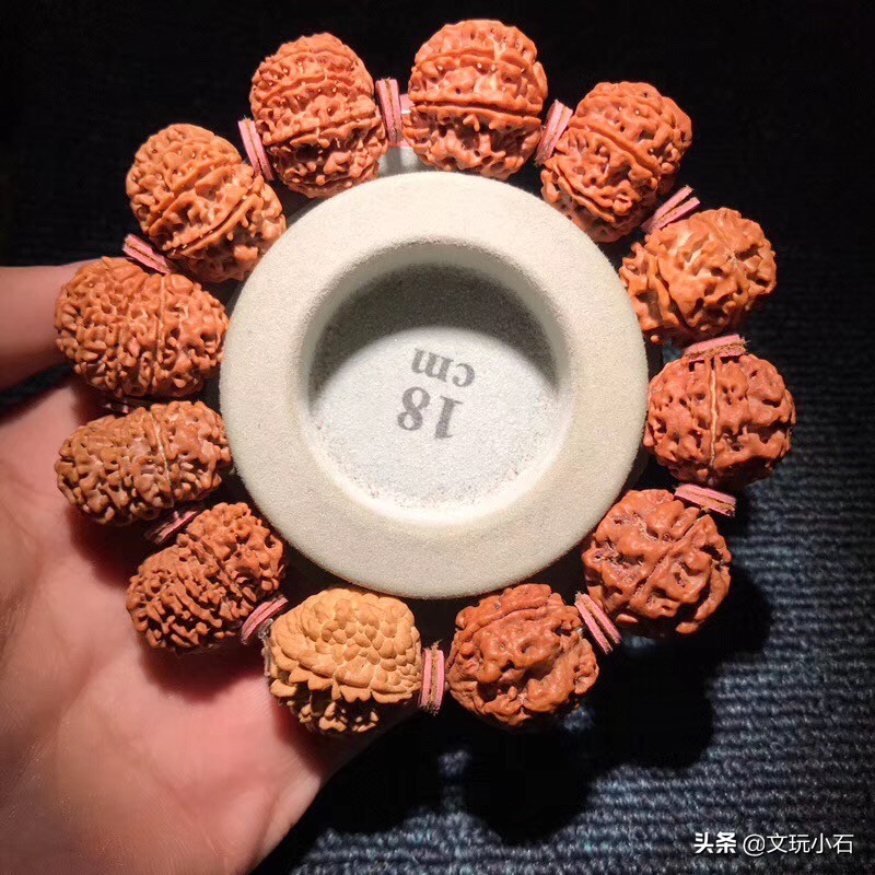 金刚菩提入门知识,新手必备,掌握了三言两语就能让别人刮目!