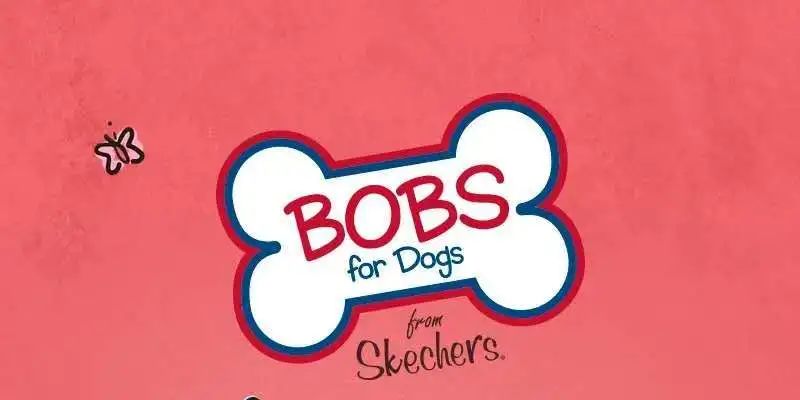 大牌入驻|ITSYOURSKECHERS