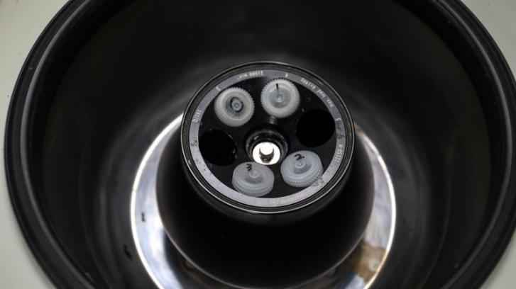 实验室|去除腐烂部分的果蔬还能吃吗?实在舍不得扔怎么办?