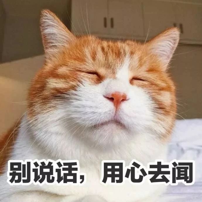 没口臭戴一会口罩就有味道,戴口罩没有味道能说明没有口臭吗