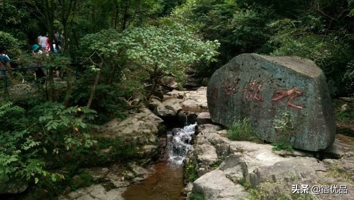 安吉民宿130元一天包吃住农家乐,浙江安吉农家乐包吃住3天费用