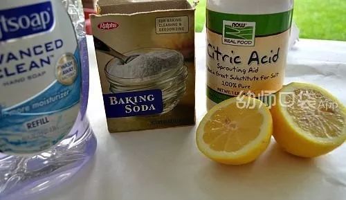 这份小中大班科探区全攻略请收好,让你省时省力又省心