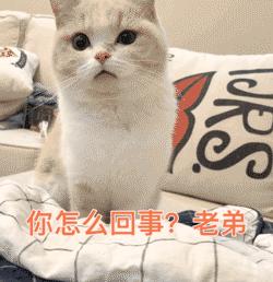 案例|警惕！买健身卡选择正规途径，千万别像这样受骗上当