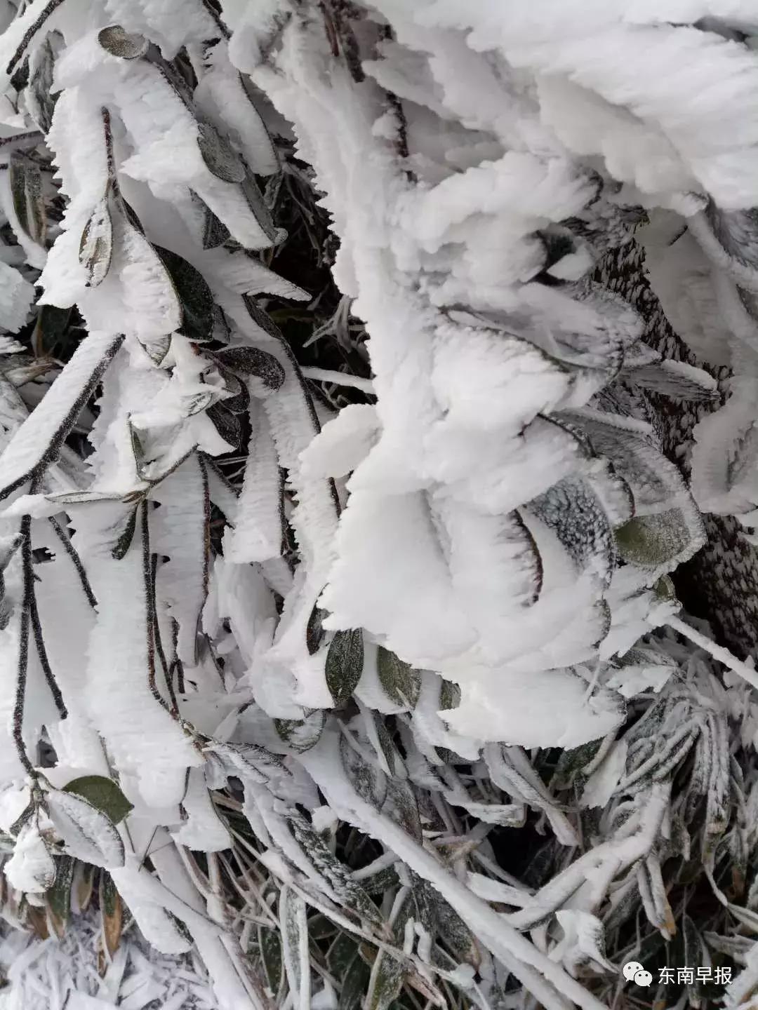 泉州九仙山下雪风景,泉州九仙山再现云海