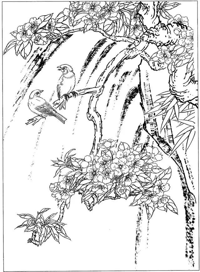 工笔花鸟白描步骤图,牡丹六尺横幅白描工笔花鸟底稿