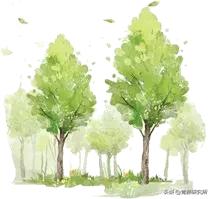 适合唇色深的橘色口红推荐,春夏显白最火口红颜色推荐