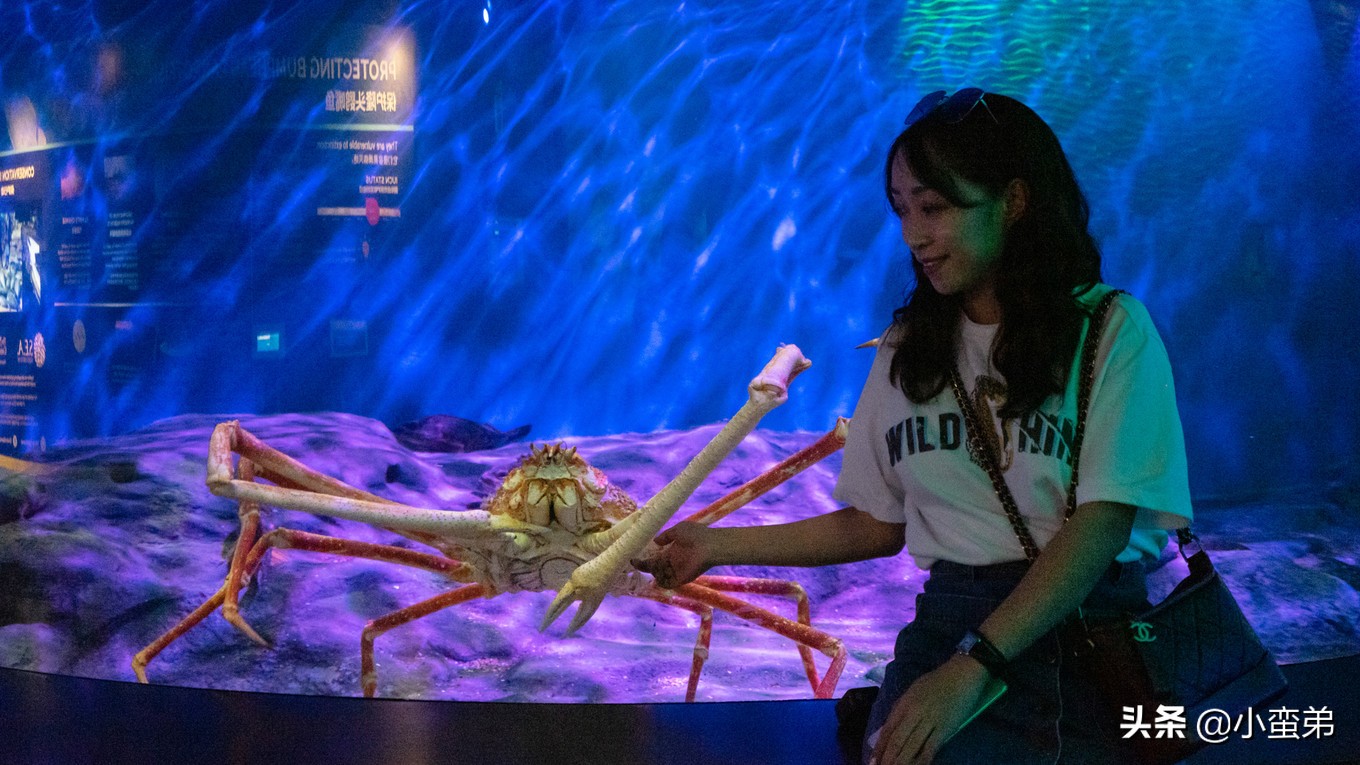 5年之许,小白逆袭重返新加坡