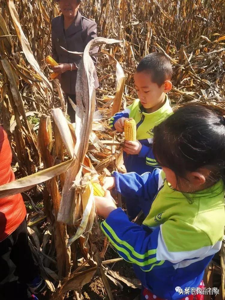 金太阳幼儿园校门,延安市甘泉谢金庄幼儿园